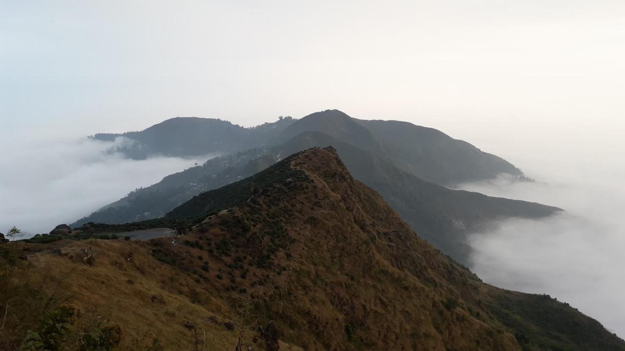 Kurseong The River View Homestay المظهر الخارجي الصورة